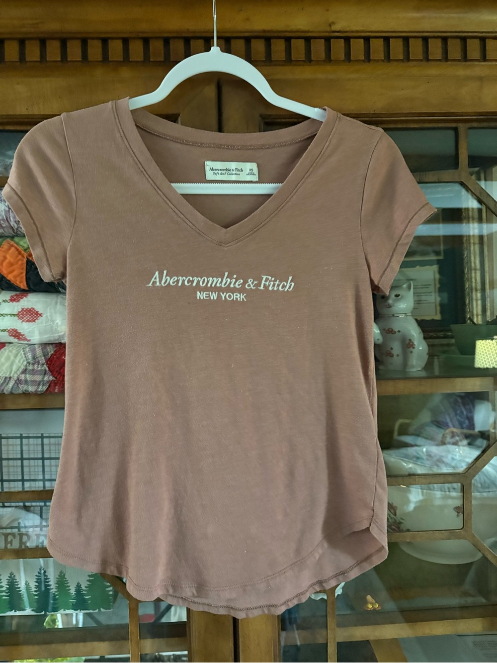 Abercrombie & Fitch Women’s V-Neck Logo Tee in brown